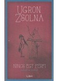 Ugron Zsolna - Nincs egy férfi - Írások és firkák