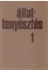 Thumbnail kép