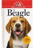 Richard Roth - The Beagle