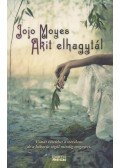 Jojo Moyes - Akit elhagytál