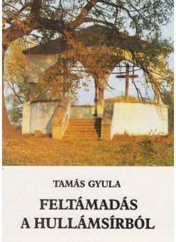 Tamás Gyula - Feltámadás a hullámsírból Tamás Gyula - Feltámadás a hullámsírból, Ásványráró 1991 antikvár könyv