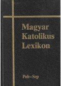 Dr. Diós István,Dr. Viczián János - Magyar Katolikus Lexikon XI.