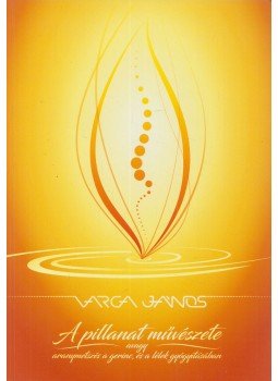 Varga János - A pillanat művészete Varga János - A pillanat művészete, Szentes 2018 antikvár könyv