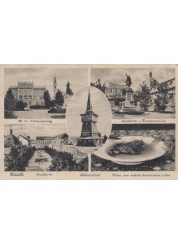  - Miskolc - Erdőigazgatóság, Erzsébet-tér, Rákóczi-kilátó, "Pislog, mint miskolci kocsonyában a béka" (képeslap), Budapest 0 antikvár könyv