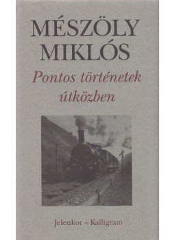 Mészöly Miklós - Pontos történetek, útközben Mészöly Miklós - Pontos történetek, útközben, Pécs 2001 antikvár könyv