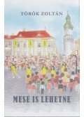 Török Zoltán - Mese is lehetne