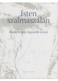 Buda Ferenc - Isten szalmaszálán