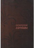 Zsoldos Árpád - Kapaszkodunk egymásba