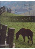 Kaiser Ottó - Magyarország