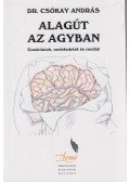 Dr. Csókay András - Alagút az agyban (dedikált)