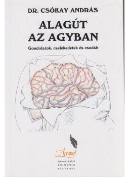 Dr. Csókay András - Alagút az agyban (dedikált) Dr. Csókay András - Alagút az agyban (dedikált), Budapest 2004 antikvár könyv