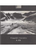 Vlagyimir Szorokin - A jég