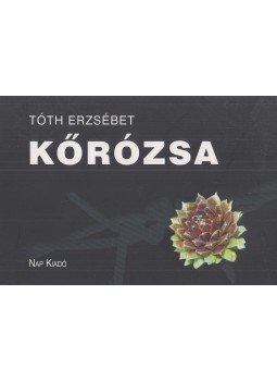 Tóth Erzsébet - Kőrózsa Tóth Erzsébet - Kőrózsa, Budapest 2012 antikvár könyv