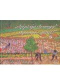 Zentai Gabriella (szerk.) - "Széptájú Somogy! Szívemre nőttél"