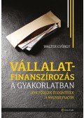 Walter György - Vállalatfinanszírozás a gyakorlatban - Lehetőségek és döntések a magyar piacon