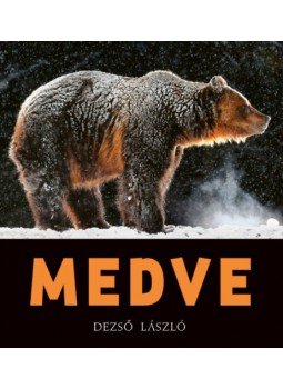 Dezső László - MEDVE Dezső László - MEDVE, null 2022 antikvár könyv