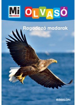 Christina Braun - Ragadozó madarak - Mi Micsoda Olvasó Christina Braun - Ragadozó madarak - Mi Micsoda Olvasó, null 2022 antikvár könyv