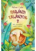 Hatvani Csaba - Parányi talányok 2