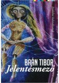 Baán Tibor - Jelentésmező