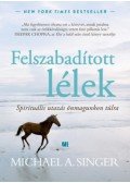 MICHAEL A. SINGER - Felszabadított lélek - Spirituális utazás önmagunkon túlra