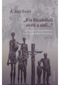 A. Sajti Enikő - "Kis-Bácskából süvít a szél..." - Összeomlás, hatalomátvétel, kisebbségpolitika a Délvidéken 1918-1947