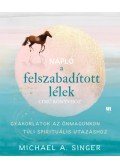 MICHAEL A. SINGER - Napló a Felszabadított lélek című könyvhöz - Gyakorlatok az önmagunkon túli spirituális utazáshoz