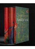 Boldizsár Ildikó - Amália útjai