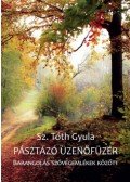 Sz. Tóth Gyula - Pásztázó üzenőfüzér - Barangolás szövegemlékek között