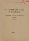 Antoni Ferenc,Tóth Miklós,Garzó Tamás - A lipidanyagcsere biokémiaája