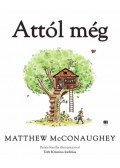 Matthew McConaughey - Attól még