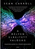 Sean Carroll - A mélyen elrejtett valóság - Kvantumvilágok és a téridő megjelenése