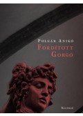 Polgár Anikó - Fordított Gorgó