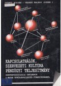 Szántó Zoltán,Vedres Balázs - Kapcsolathálók, szervezeti kultúra, pénzügyi teljesítmény