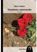 Hegyi Ferenc - Vendégek a menyegzőn