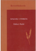 Halászi Aladár - Magvak a porban