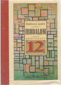 Madocsai László - Irodalom a középiskolák 12. évfolyama számára