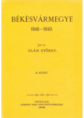 Oláh György - Békésvármegye 1848-1849 II.