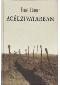 Ernst Jünger - Acélzivatarban