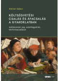 Steiner Gábor - Költségvetési csalás és áfacsalás a gyakorlatban - Adólevonási jog, számlagyárak, körhintacsalások