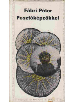 Fábri Péter - Fosztóképzőkkel (dedikált) Fábri Péter - Fosztóképzőkkel (dedikált), Budapest 1972 antikvár könyv