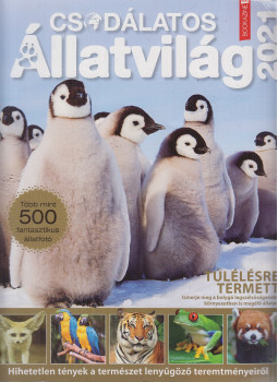 Iván Katalin - Füles Bookazine: Csodálatos Állatvilág 2021 Iván Katalin - Füles Bookazine: Csodálatos Állatvilág 2021, Budapest 2020 antikvár könyv