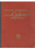 Johann Wolfgang Goethe,Benedek Elek - Csili Csali Csalavári csalafintaságai