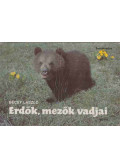 Bécsy László - Erdők, mezők vadjai