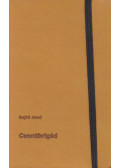 Rejtő Jenő,P. Howard - Csontbrigád