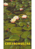 Csikai Erzsébet - Csillaghullás (dedikált)
