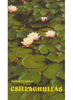 Csikai Erzsébet - Csillaghullás (dedikált) Csikai Erzsébet - Csillaghullás (dedikált), Debrecen 2005 antikvár könyv