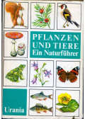  - Pflanzen und Tiere