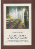 Sinkó Ferenc - Küldetésben a Szűzanyáért!