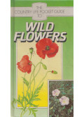 Marian Short - Wild Flowers