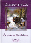 Bársony István - Árnyak az éjszakában
